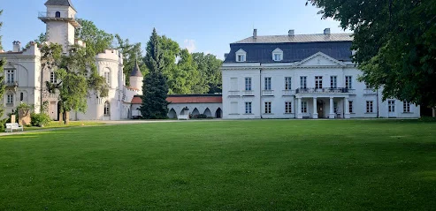 Pałac w Radziejowicach