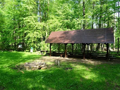 Rezerwat Przyrody Modrzewina